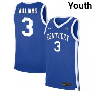 #3 Royal Youth Kam Williams Embroidery College Basketball Kentucky Wildcats Jerseys